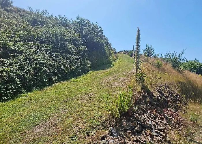 Σπίτι διακοπών La Verte Colline Siouville-Hague