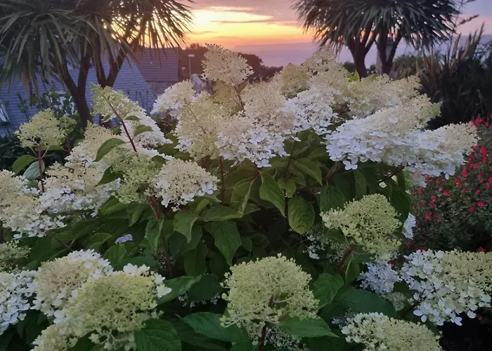 La Verte Colline Σπίτι διακοπών *